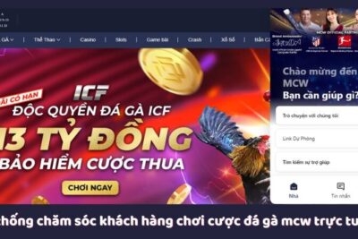 MCW – Lựa Chọn Đỉnh Cao Cho Người Chơi Cược Đá Gà Mcw