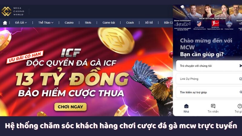 Hệ thống chăm sóc khách hàng chơi cược đá gà mcw trực tuyến