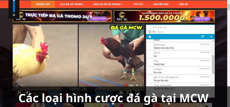 Các loại hình cược đá gà tại MCW