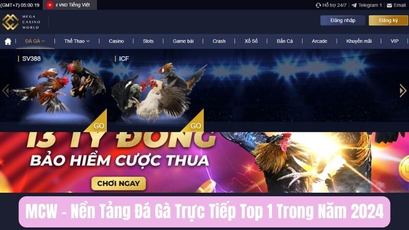 Giới thiệu tổng quan về MCW 