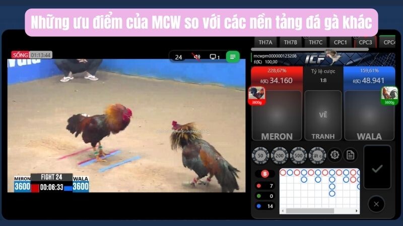 Những ưu điểm của MCW so với các nền tảng đá gà khác